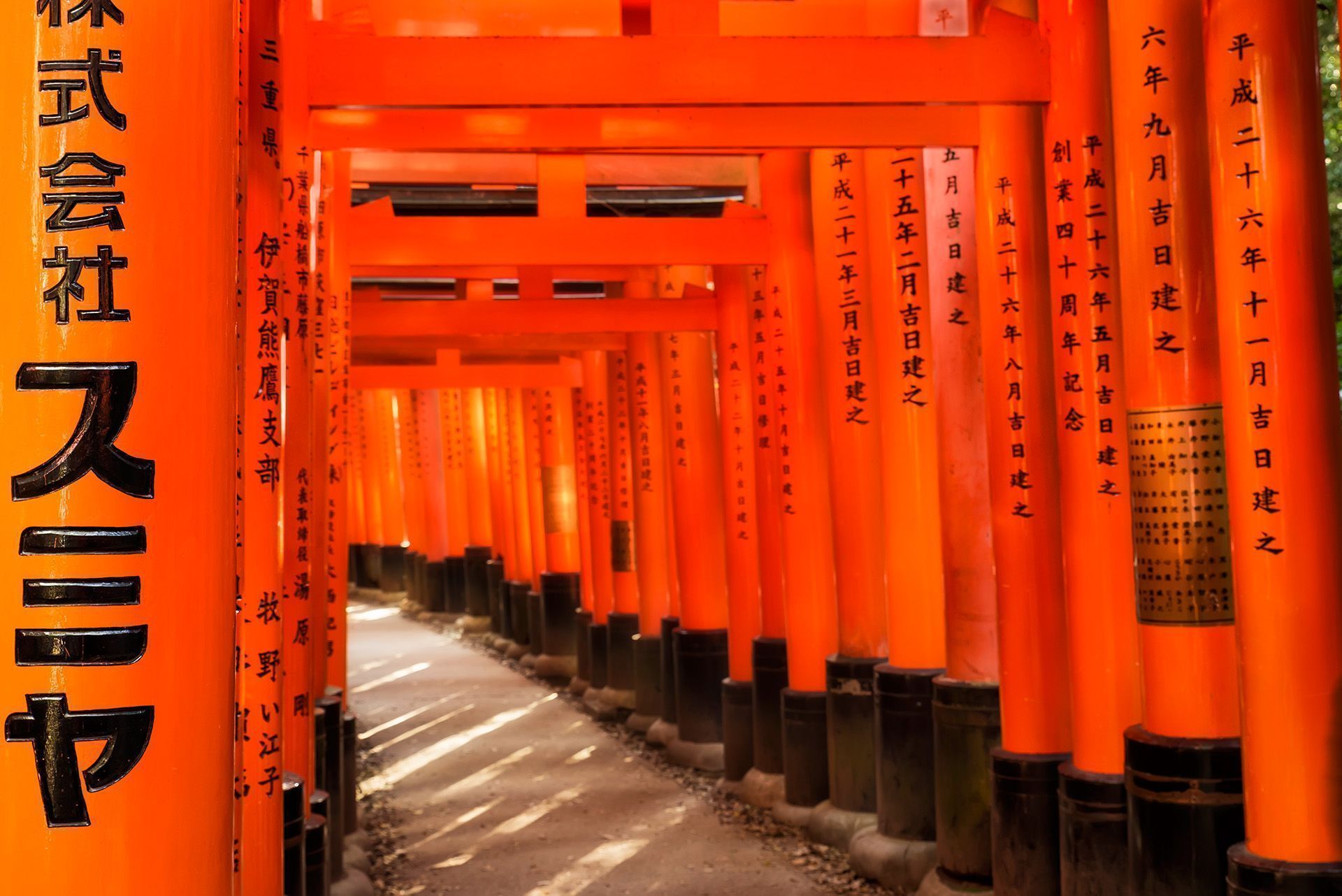 Toriis en el santuario Fushimi Inari Taisha (Kioto - Japón). Fotografía de viaje y urbana.
